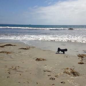 Meet your Posher, Nikki